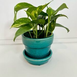 Gorgeous Teal Crackled Ceramic Glazed Planter With Built-In Drip Tray